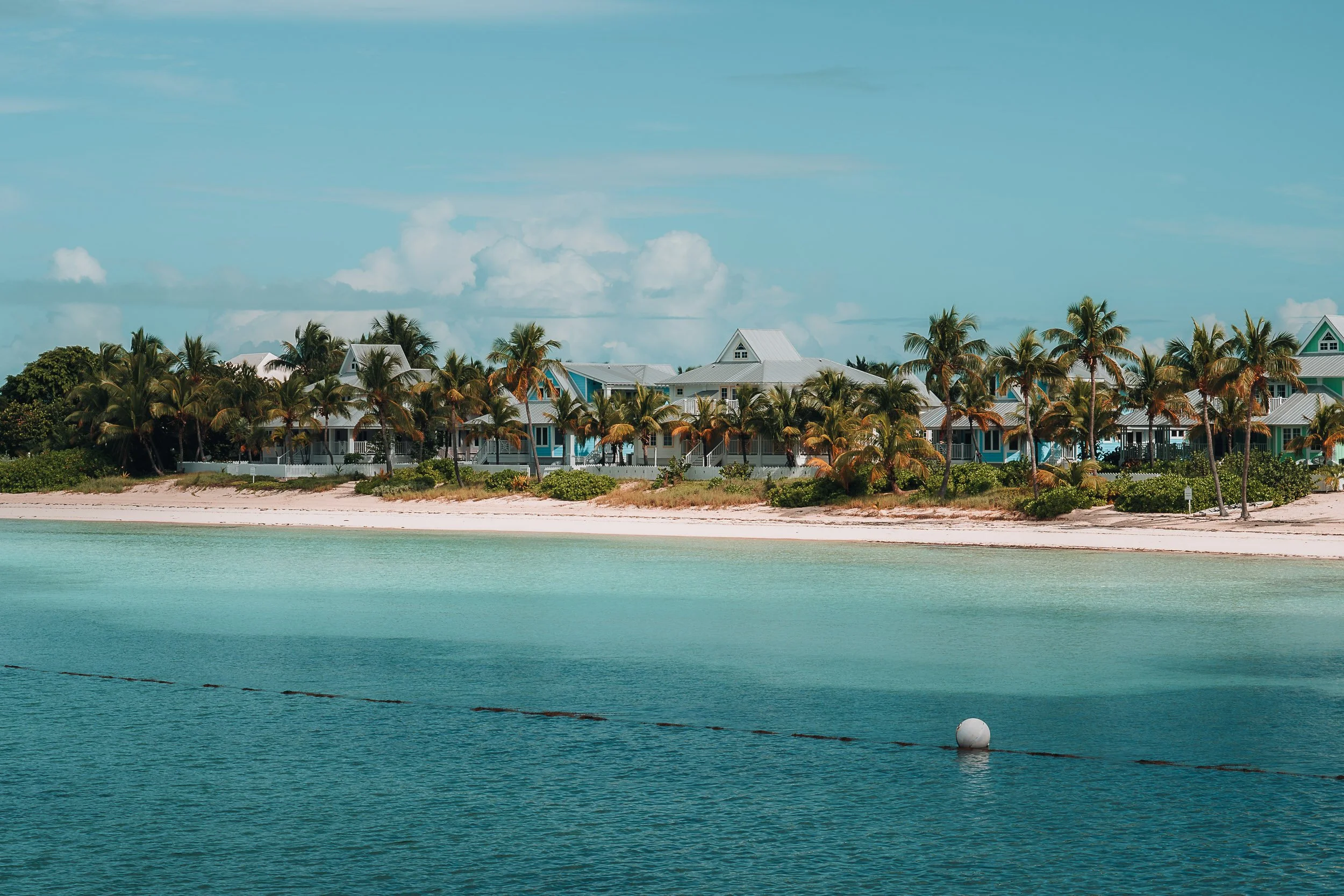 Tropical beach with palm trees and charming beach houses under a clear blue sky.