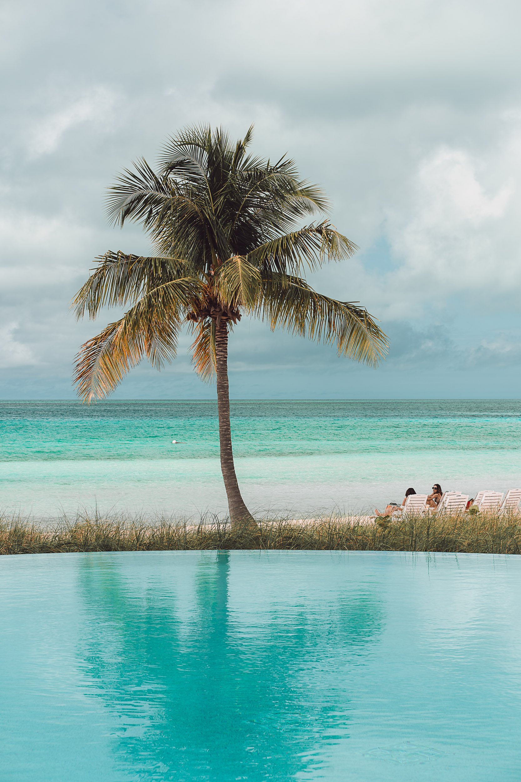 Tropical beach scene with a palm tree near a clear blue infinity pool, overlooking turquoise ocean water and a cloudy sky. People relaxing on lounge chairs by the sea.