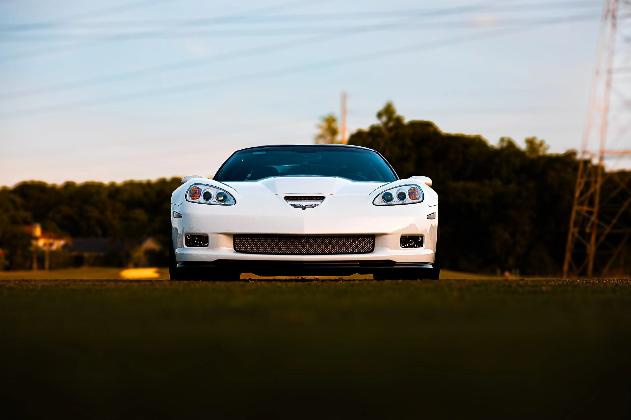Front view of a white sports car on a grass field with a blurred background of trees and sky.