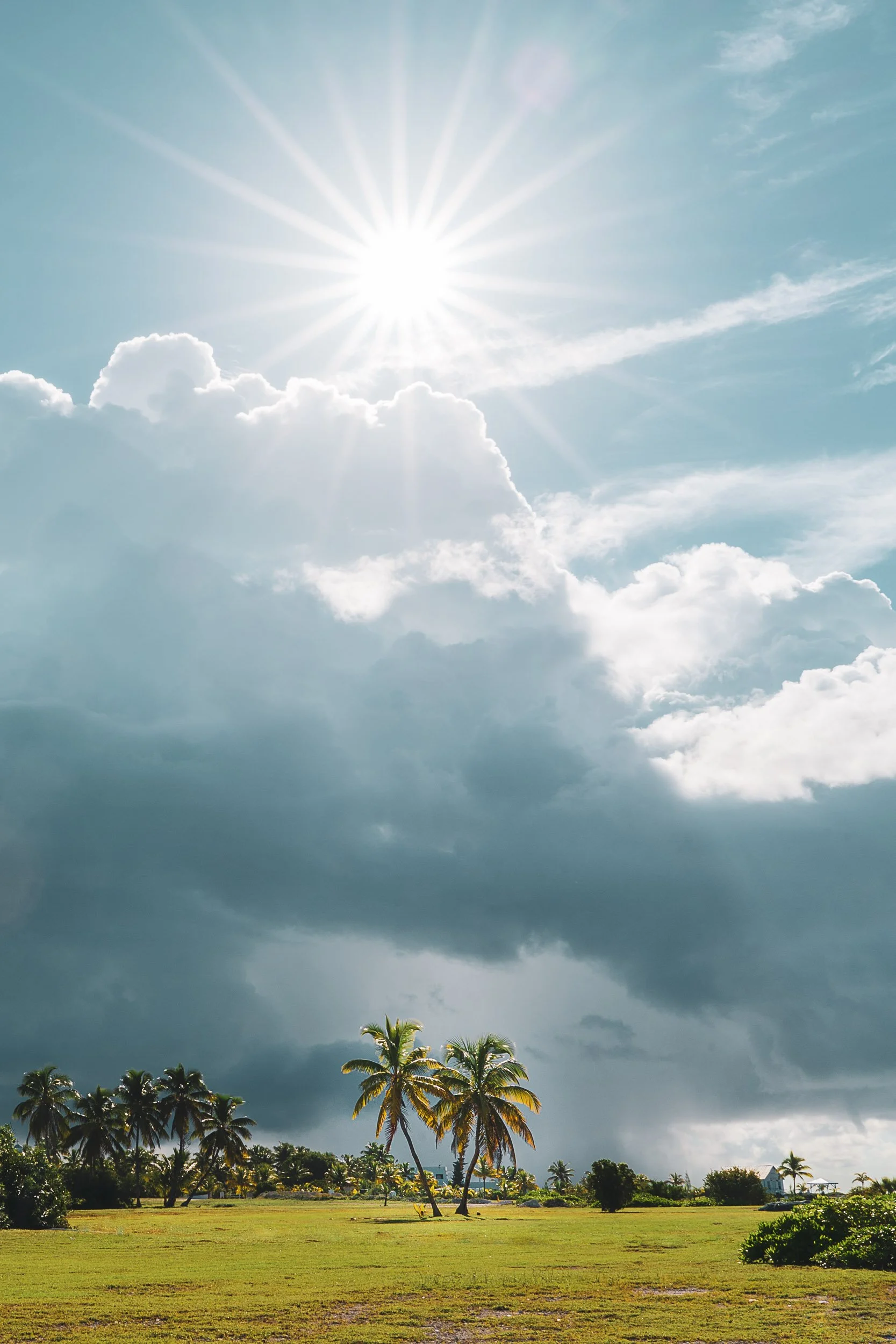 Sunny sky with dramatic clouds over a grassy field and palm trees.