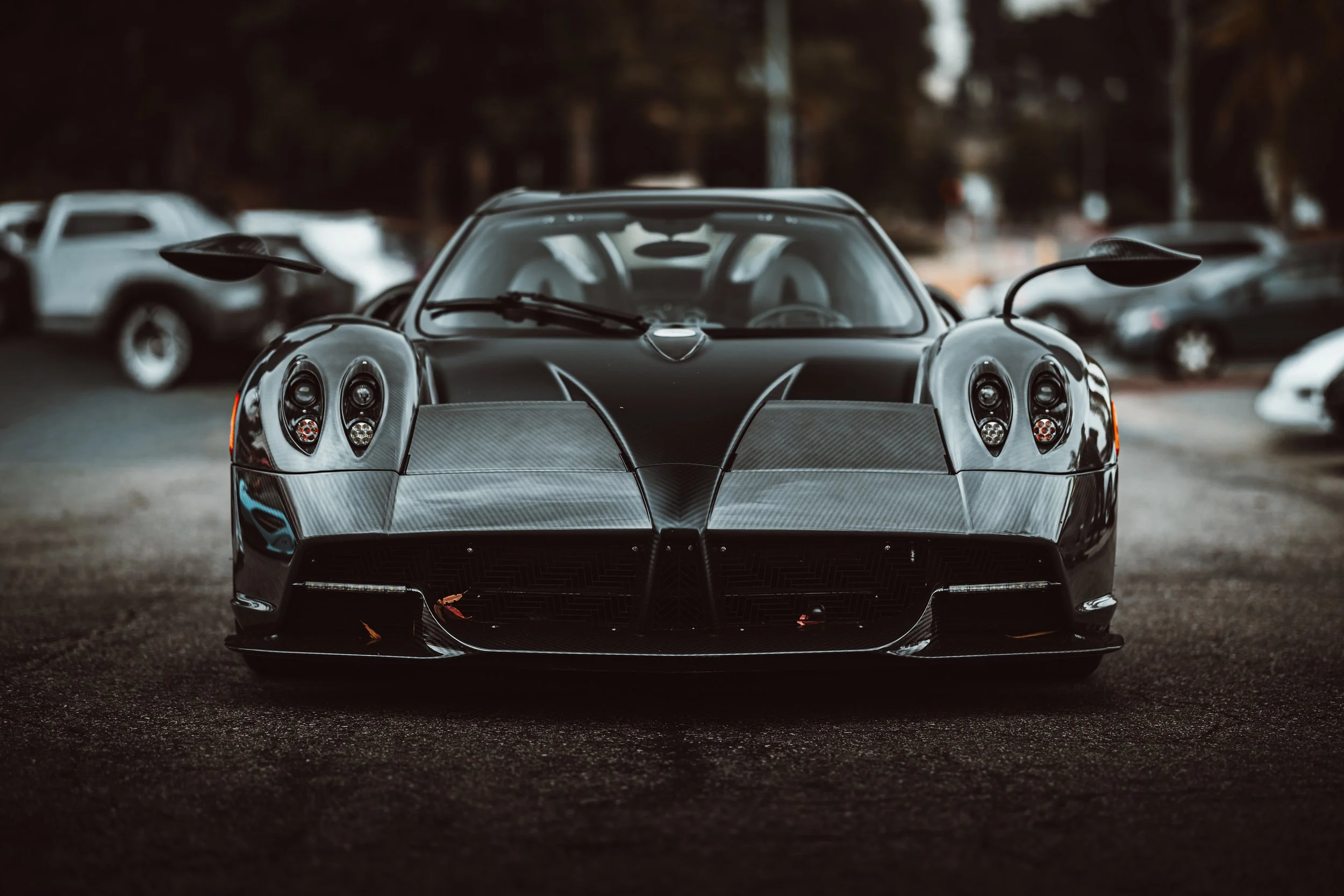 R6II7247.jpg