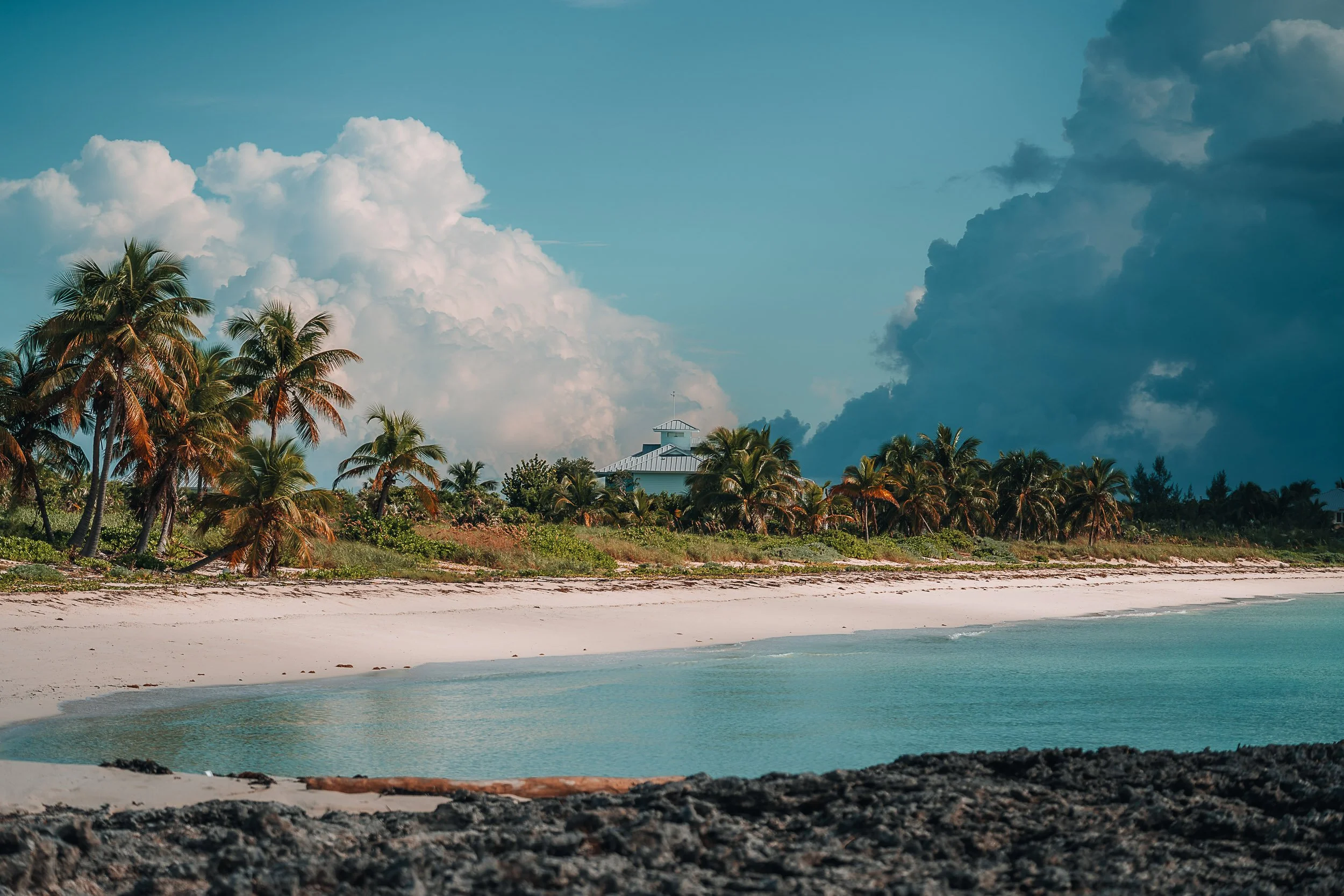 Tropical beach with palm trees, white sand, and turquoise water under a cloudy sky.
