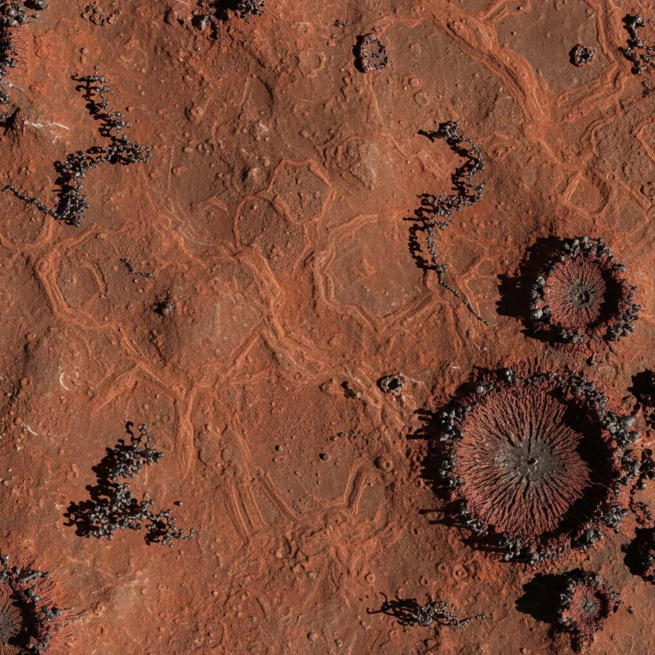 First Contact:📡 The Phantom Signal, Orbit Log Chapter _05