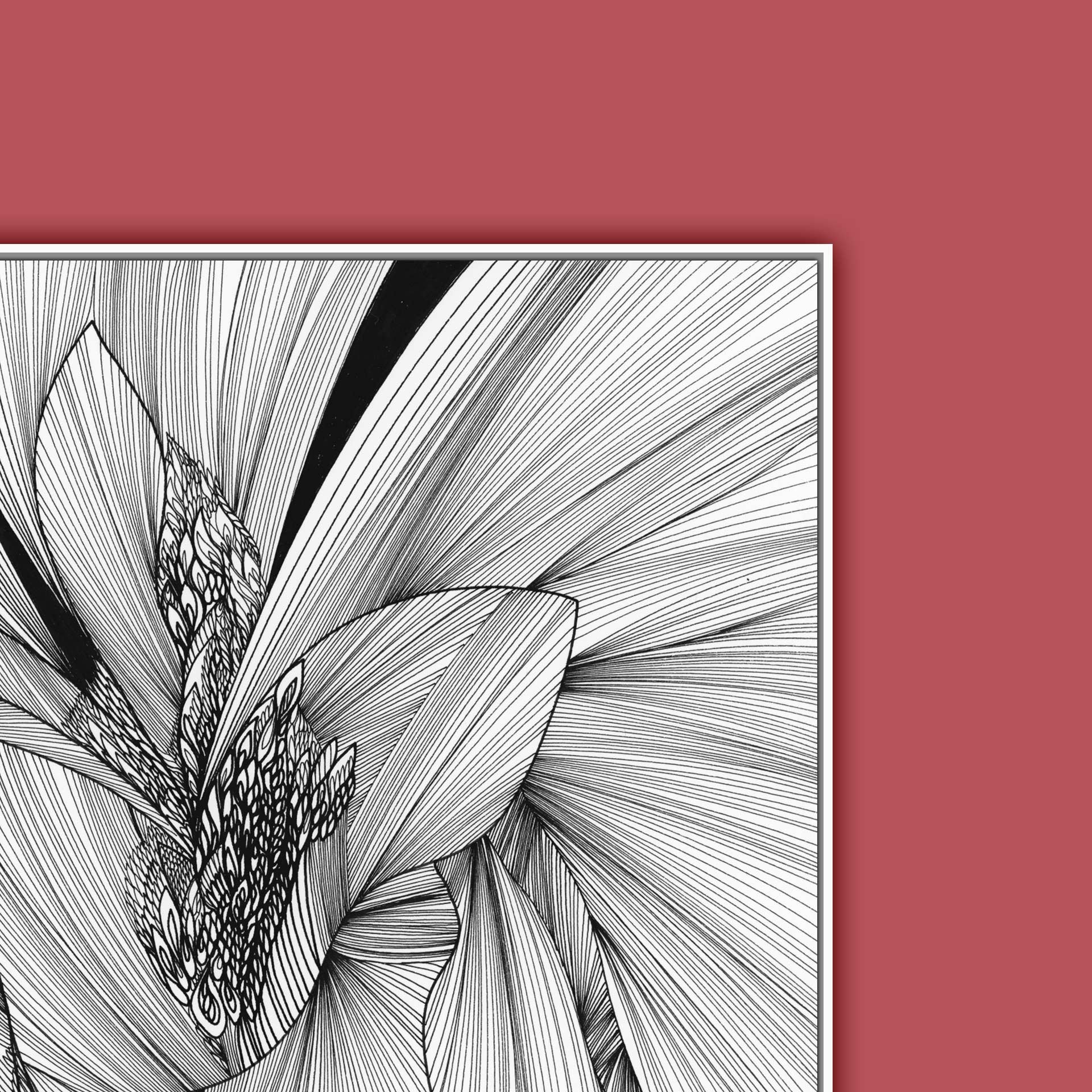 LIFE_line_drawing_3.jpg