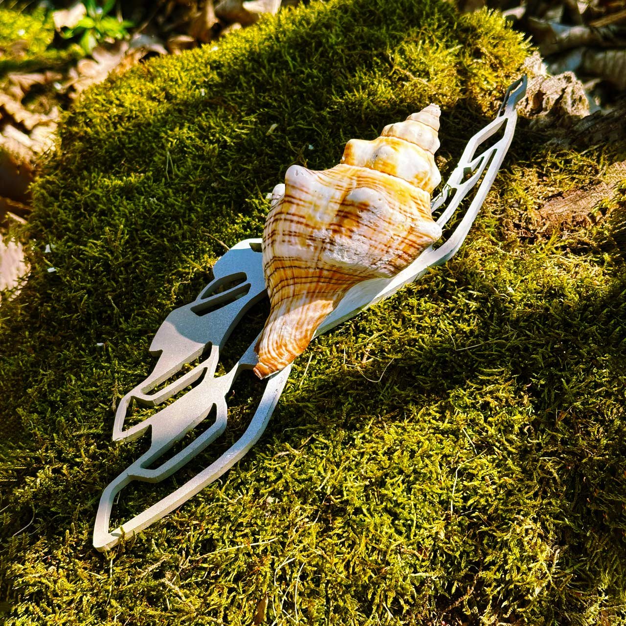 forest-wing-3.jpg