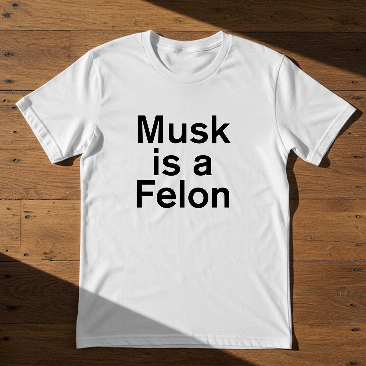 21_Musk-is-a-Felon.jpg