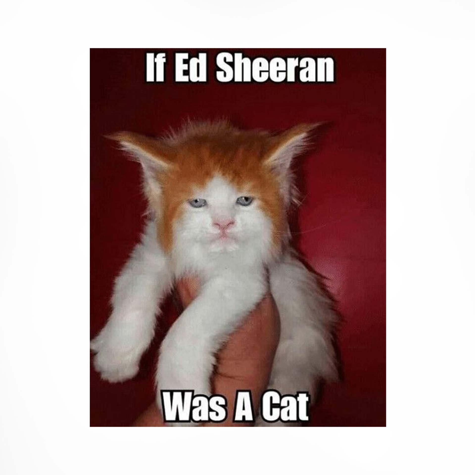 17_ed-sheeran_b.jpg