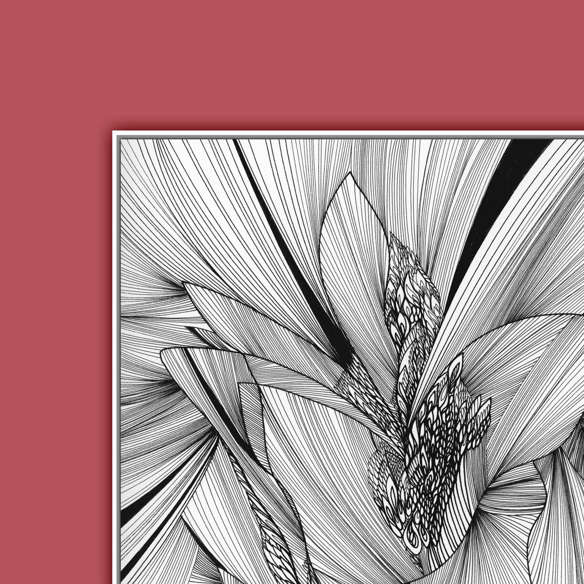 LIFE_line_drawing_2.jpg