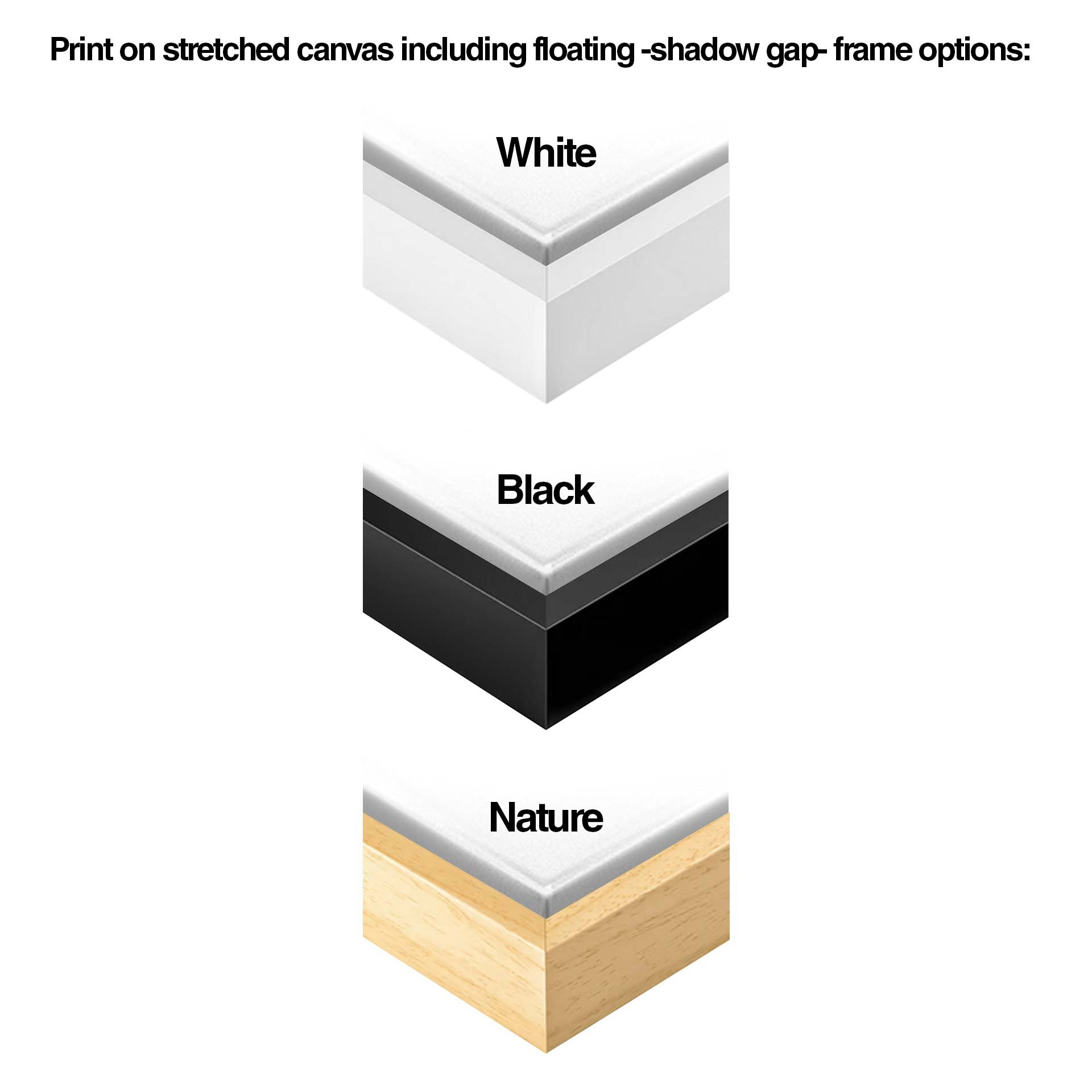 Floating-frames_options.jpg