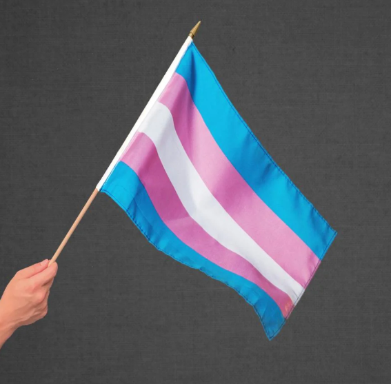 Statements of Support for Trans Youth and AB Hernandez