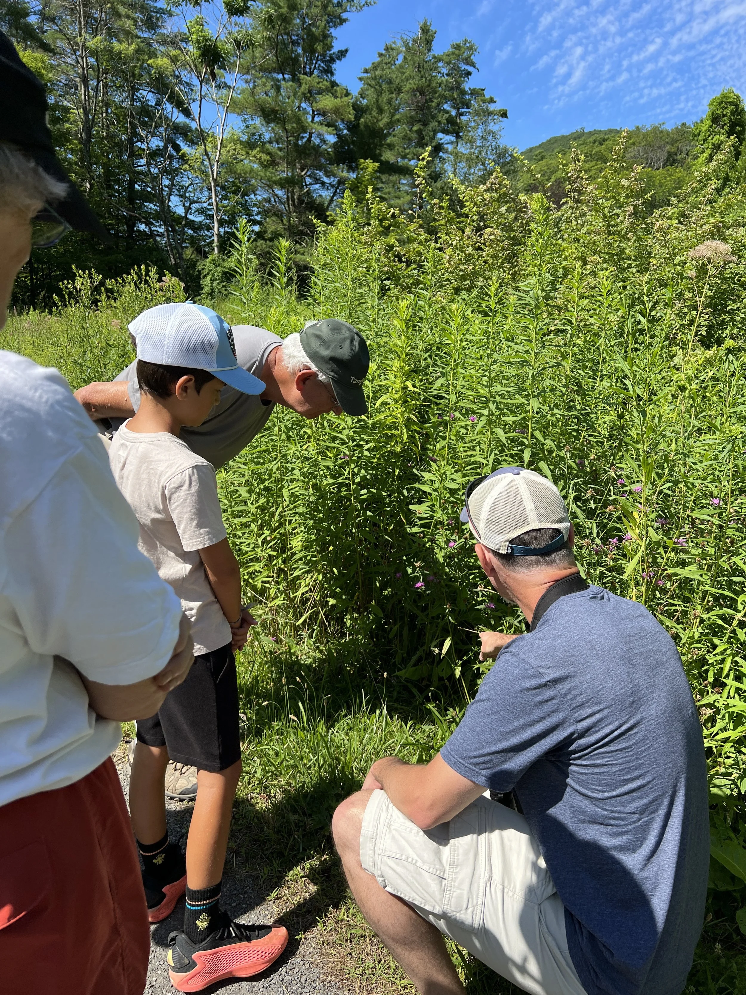 Guided Wildlife Hike