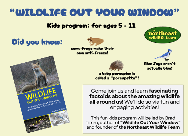 Kids Program: Wildlife Out Your Window