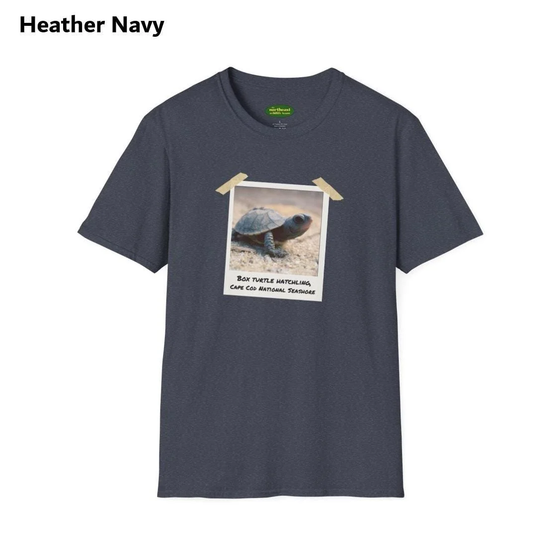 https://i.etsystatic.com/59695859/r/il/b6bc8c/7035667403/il_fullxfull.7035667403_kmw6.jpg
