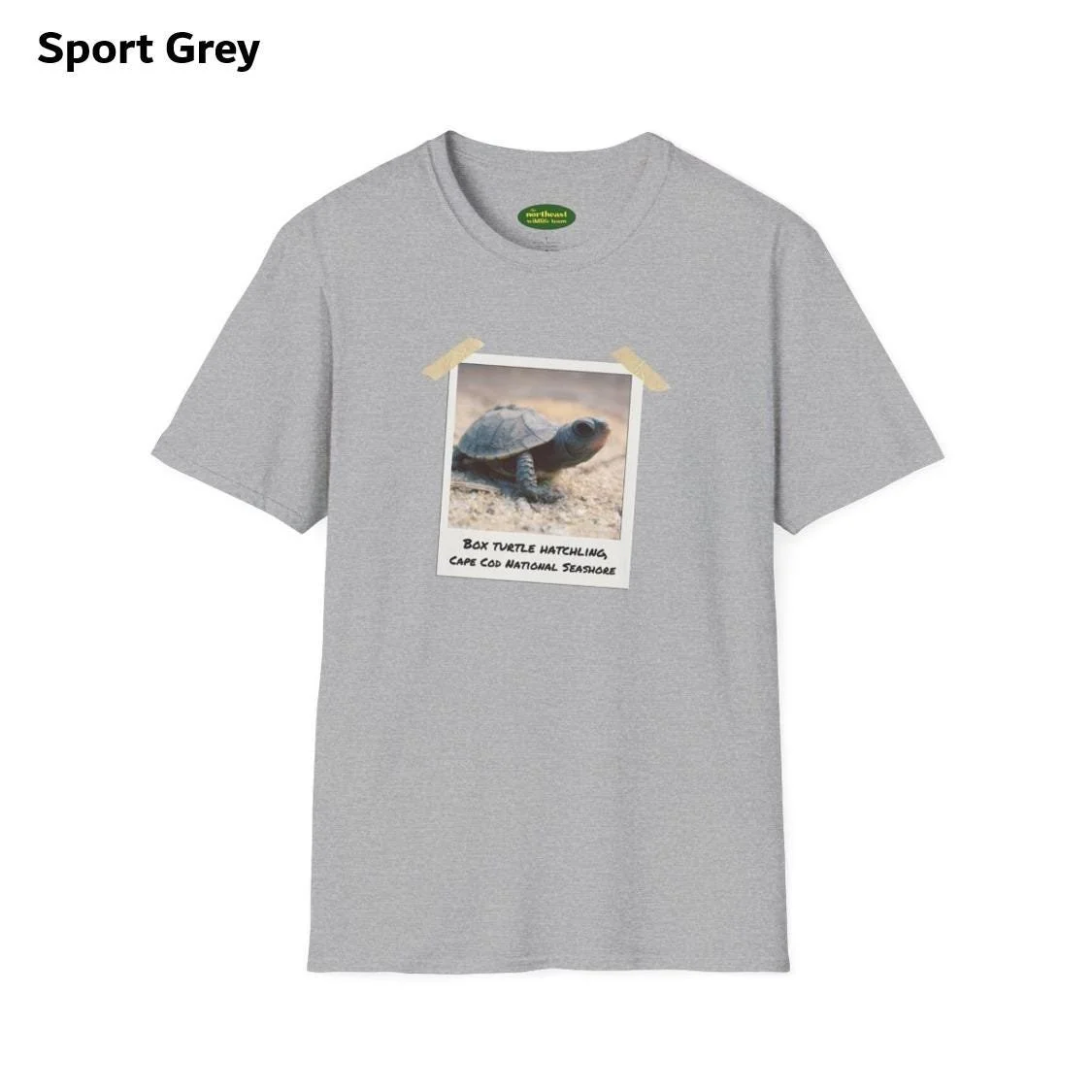 https://i.etsystatic.com/59695859/r/il/e8473b/7035667649/il_fullxfull.7035667649_7sig.jpg