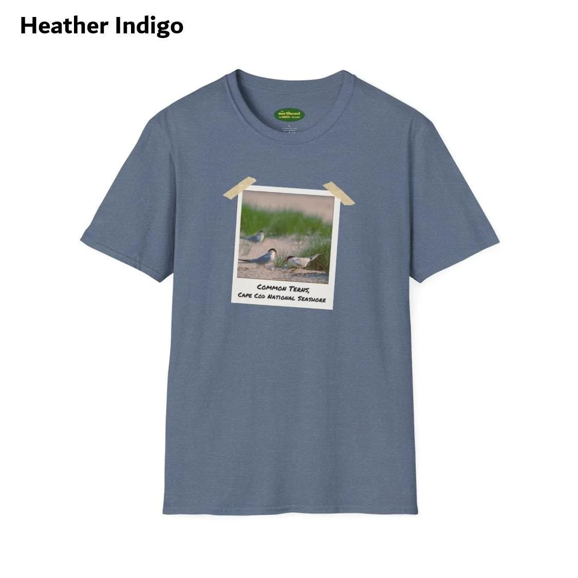 https://i.etsystatic.com/59695859/r/il/c07e5e/6984582976/il_fullxfull.6984582976_f64g.jpg