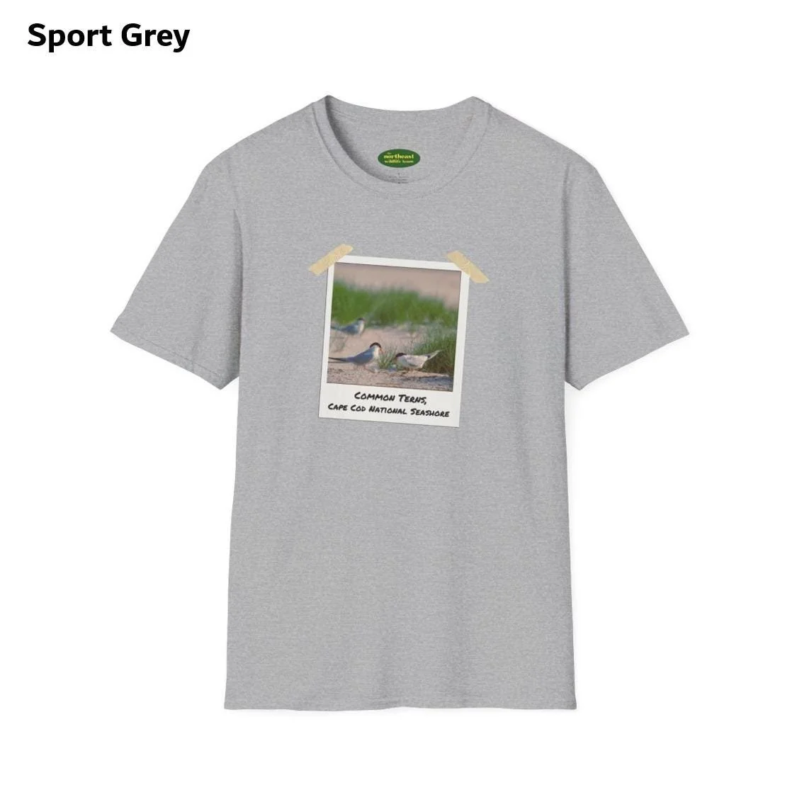 https://i.etsystatic.com/59695859/r/il/0bfa2e/6984586970/il_fullxfull.6984586970_jed1.jpg