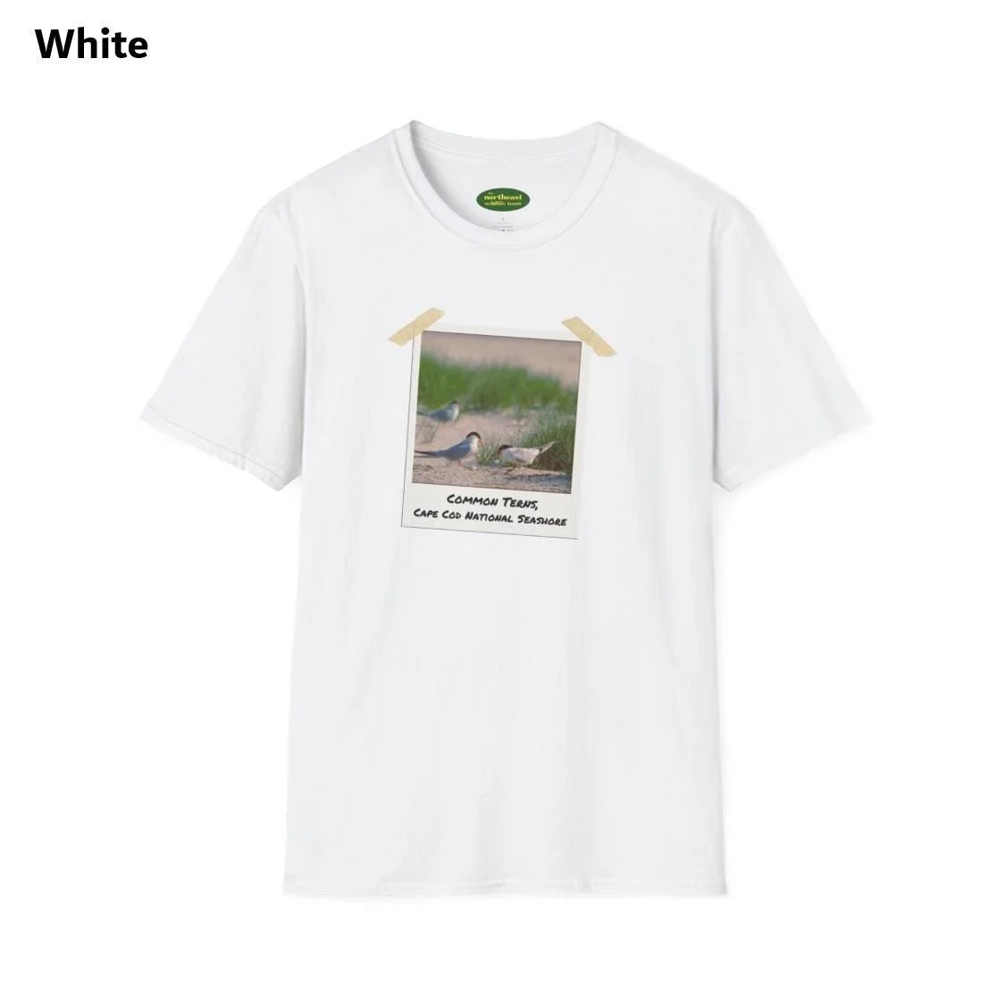 https://i.etsystatic.com/59695859/r/il/999282/6984587304/il_fullxfull.6984587304_657c.jpg