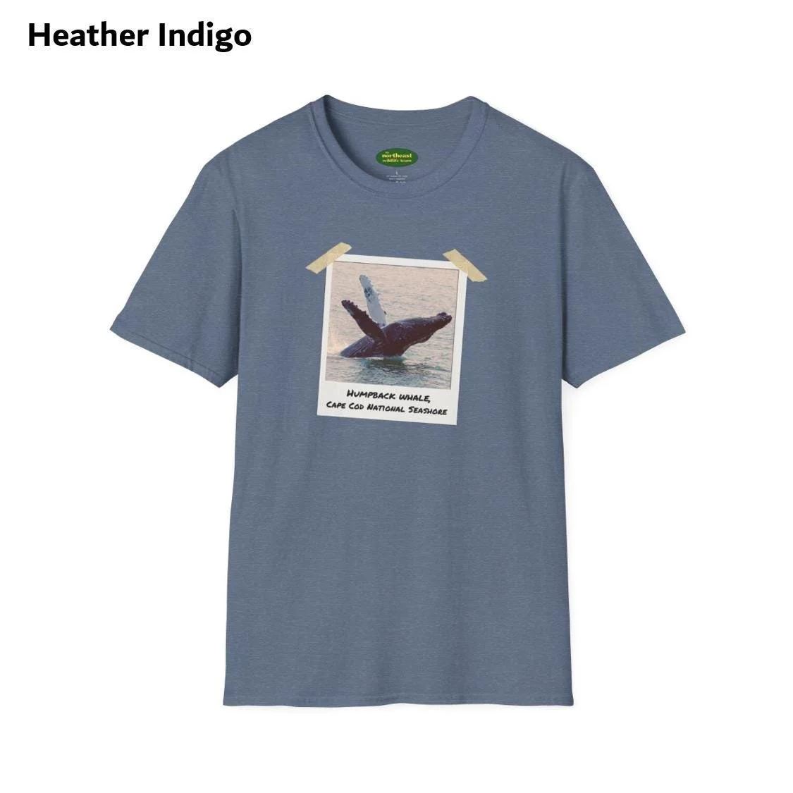 https://i.etsystatic.com/59695859/r/il/879c9a/7035660481/il_fullxfull.7035660481_n99z.jpg