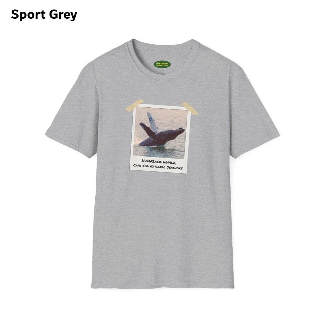 https://i.etsystatic.com/59695859/r/il/d816c1/7035661977/il_fullxfull.7035661977_gu0n.jpg