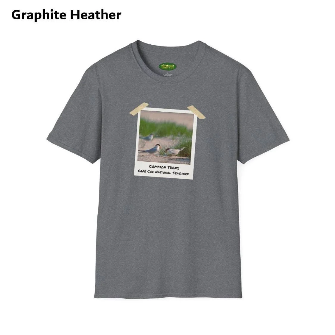 https://i.etsystatic.com/59695859/r/il/61d929/7032562087/il_fullxfull.7032562087_e57g.jpg