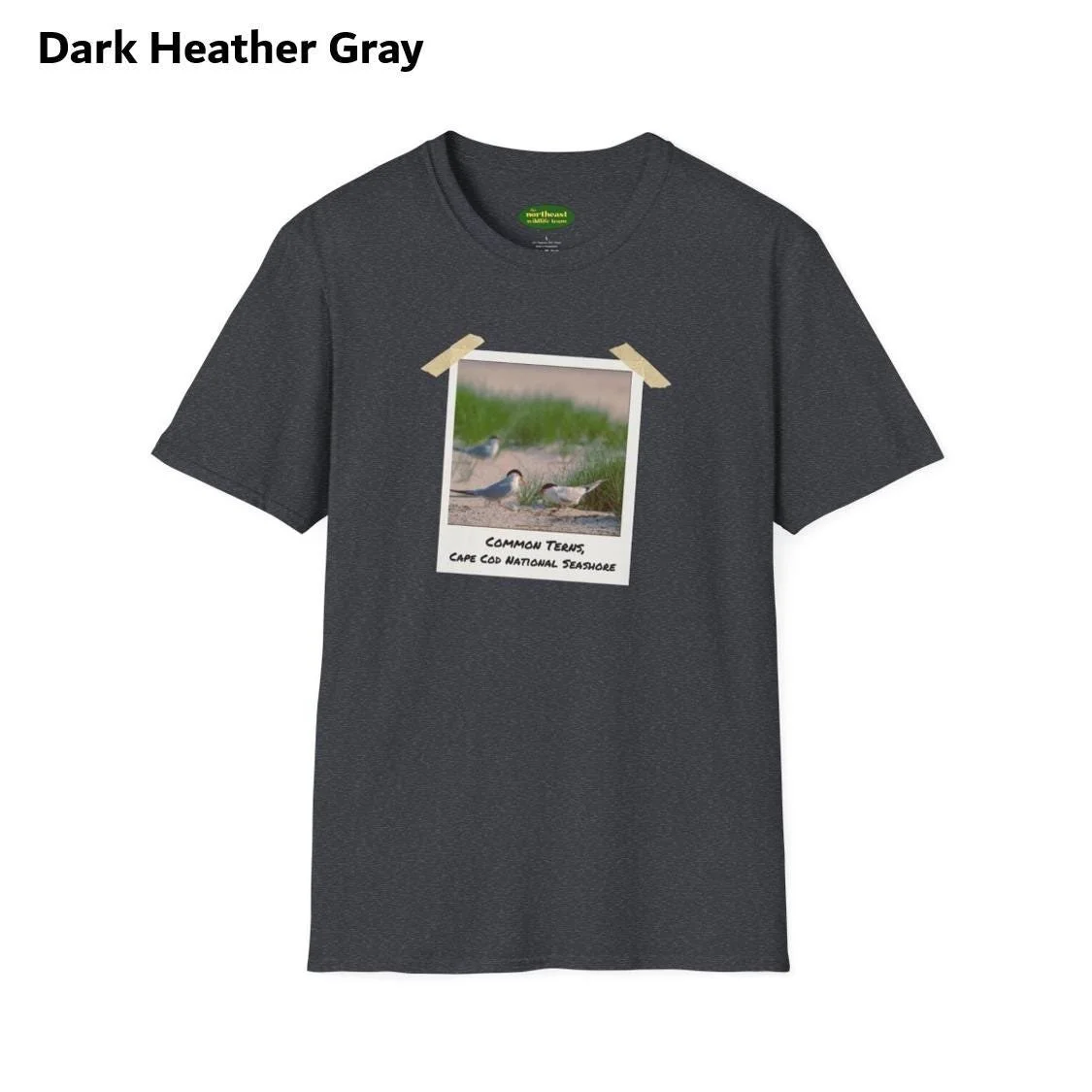 https://i.etsystatic.com/59695859/r/il/203c91/7032563803/il_fullxfull.7032563803_35nt.jpg