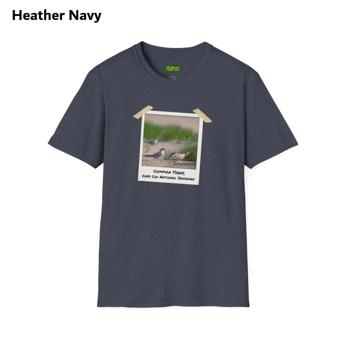 https://i.etsystatic.com/59695859/r/il/4ce113/7032564511/il_fullxfull.7032564511_n9mt.jpg