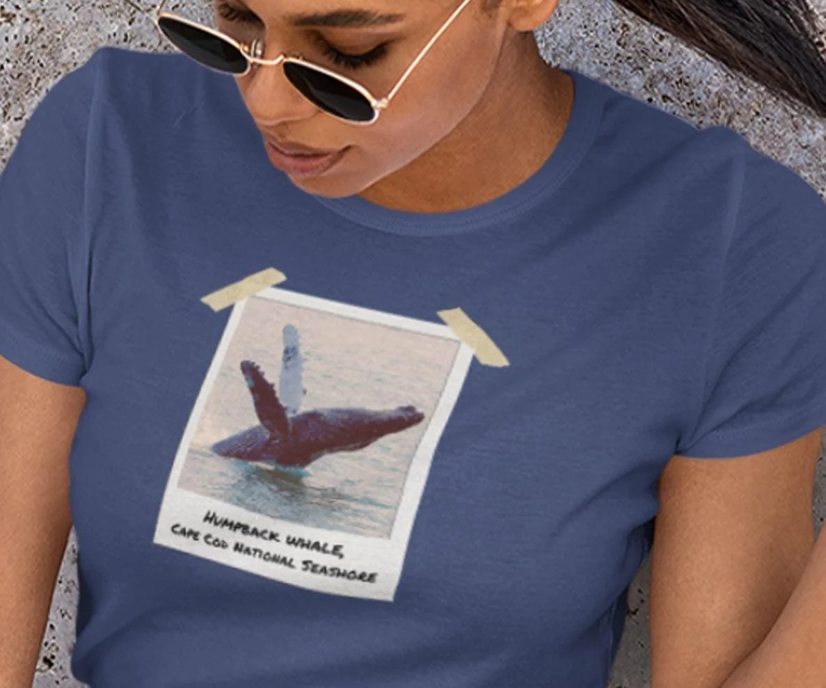 https://i.etsystatic.com/59695859/r/il/6ef76a/6987683932/il_fullxfull.6987683932_f2e9.jpg