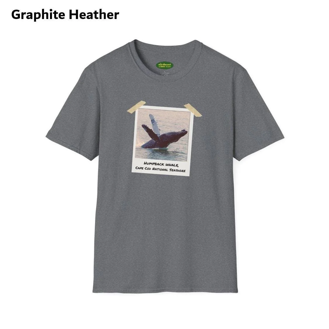 https://i.etsystatic.com/59695859/r/il/7667b1/7035660885/il_fullxfull.7035660885_6pu4.jpg