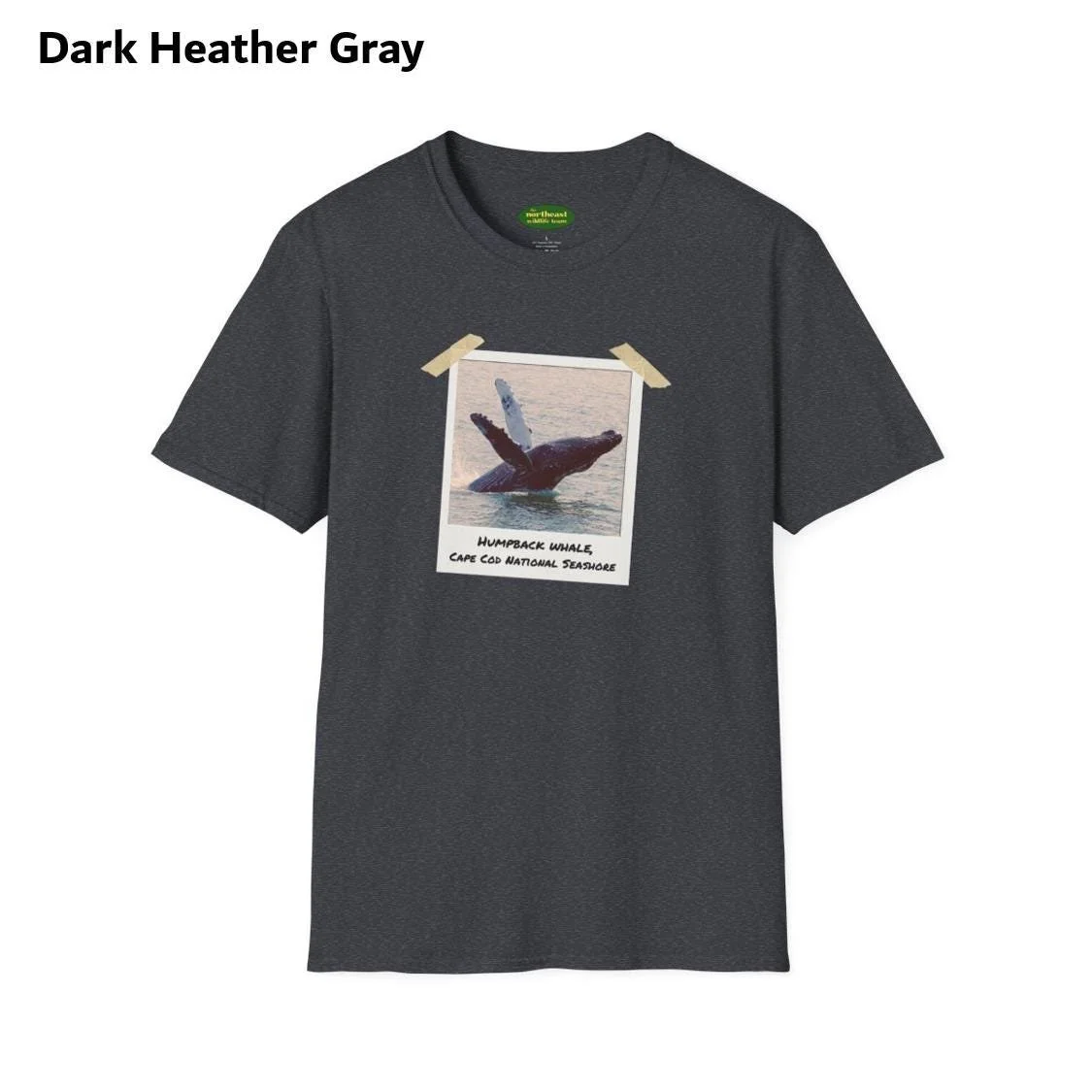 https://i.etsystatic.com/59695859/r/il/89aef9/6987685304/il_fullxfull.6987685304_s664.jpg