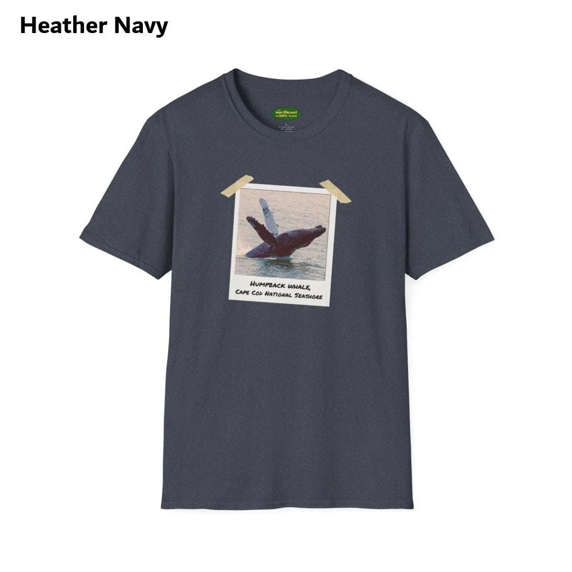 https://i.etsystatic.com/59695859/r/il/e5e53b/7035661509/il_fullxfull.7035661509_8z95.jpg