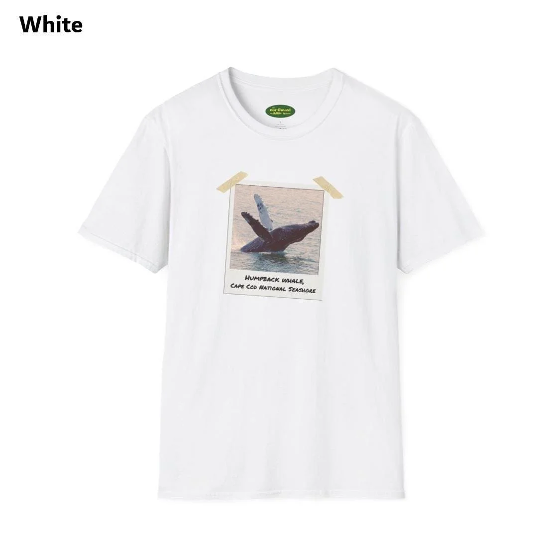 https://i.etsystatic.com/59695859/r/il/2f3220/7035662283/il_fullxfull.7035662283_ceka.jpg
