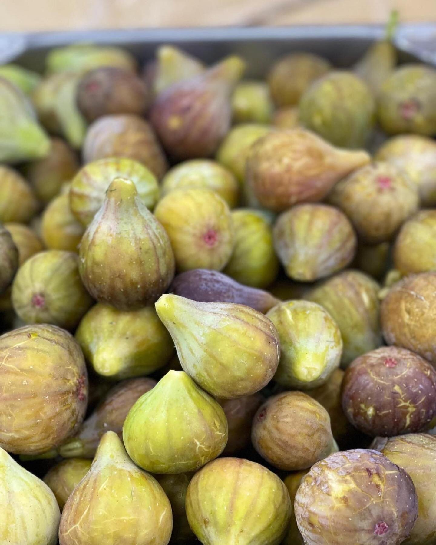 It&rsquo;s that time of the year! Fresh figs (تين) now in stock - harvested this morning! 

Stop by today before they&rsquo;re all out. Provided by Almadina Farms.