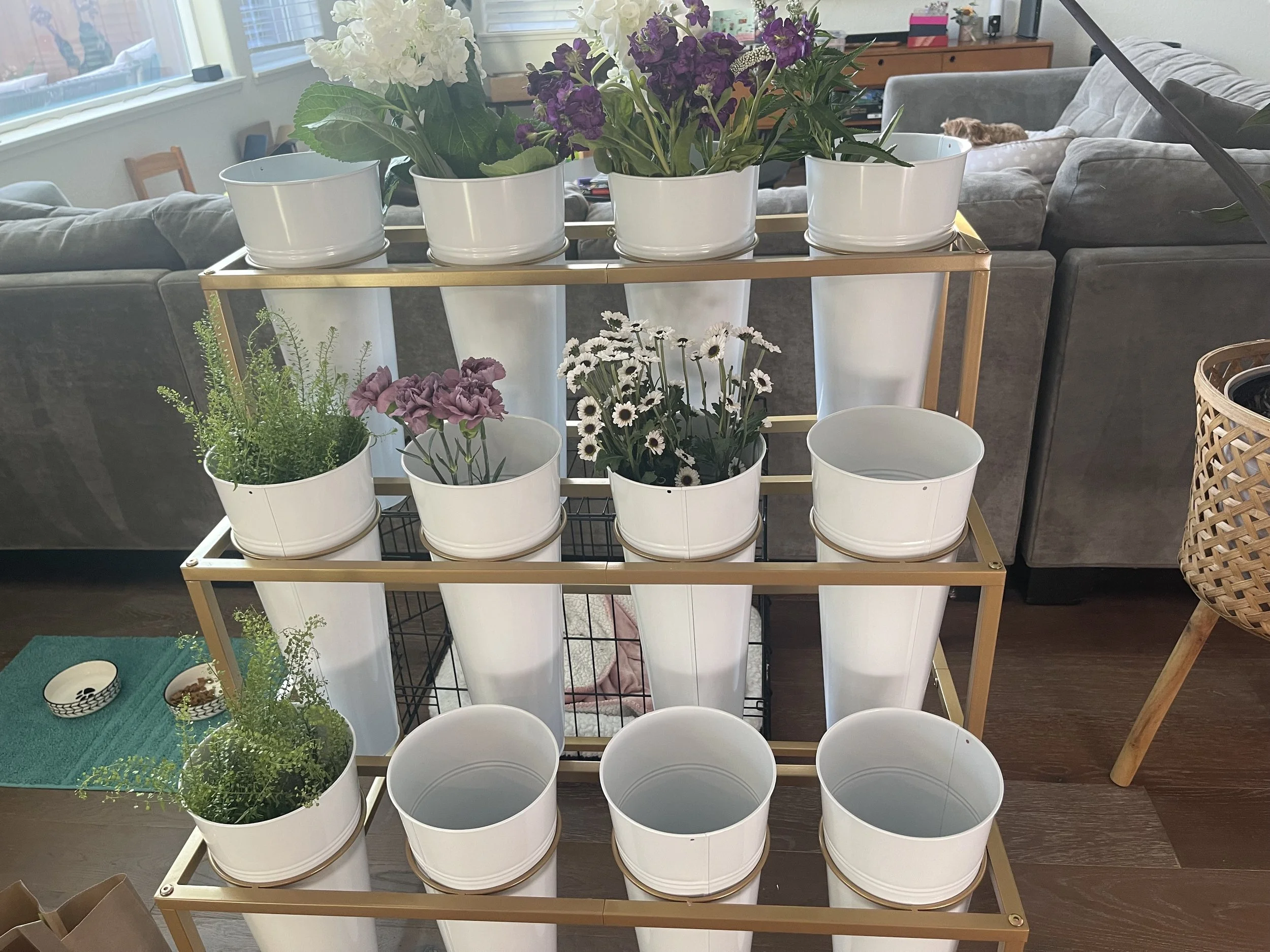 Bloom Bar Rental