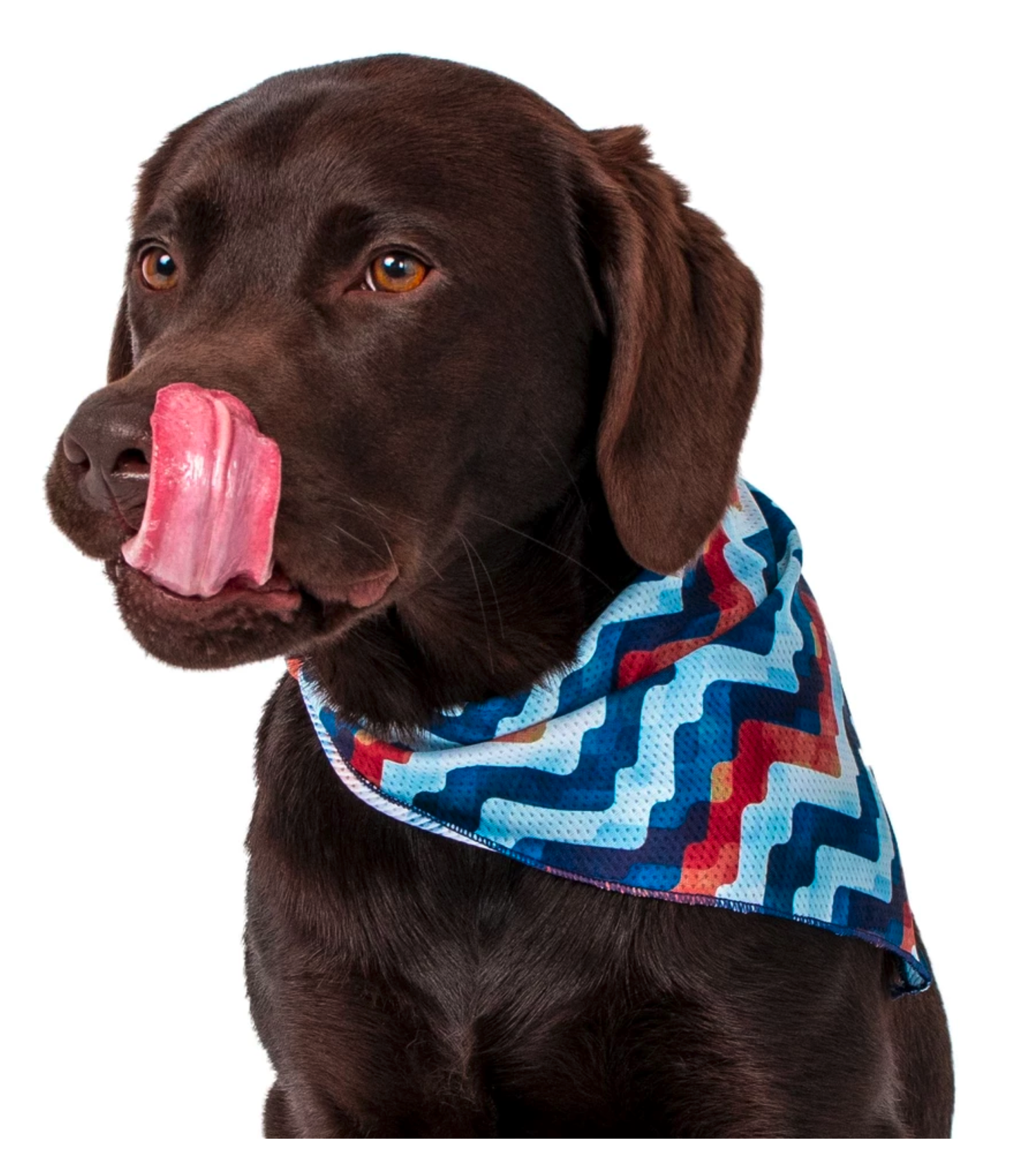 Bandana Modelling Shoot