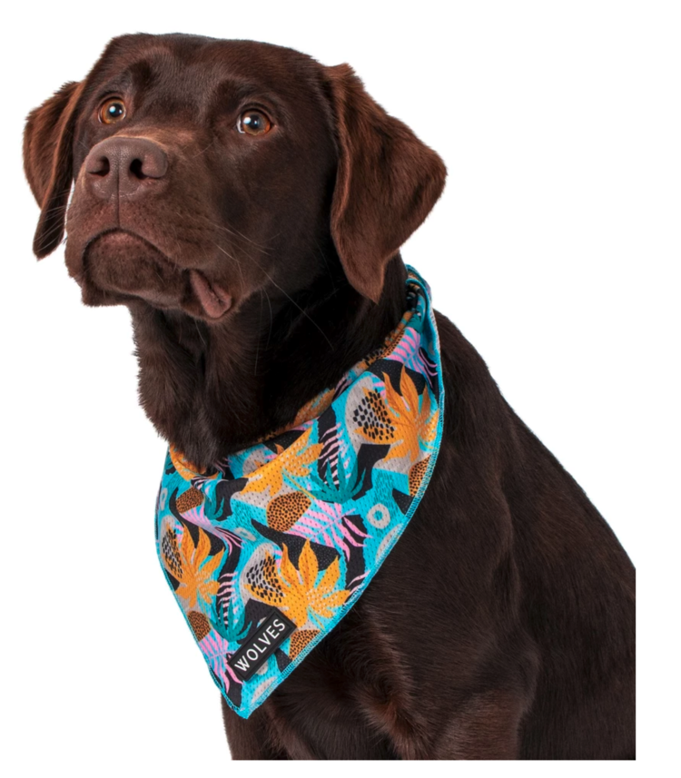 Bandana Modelling Shoot