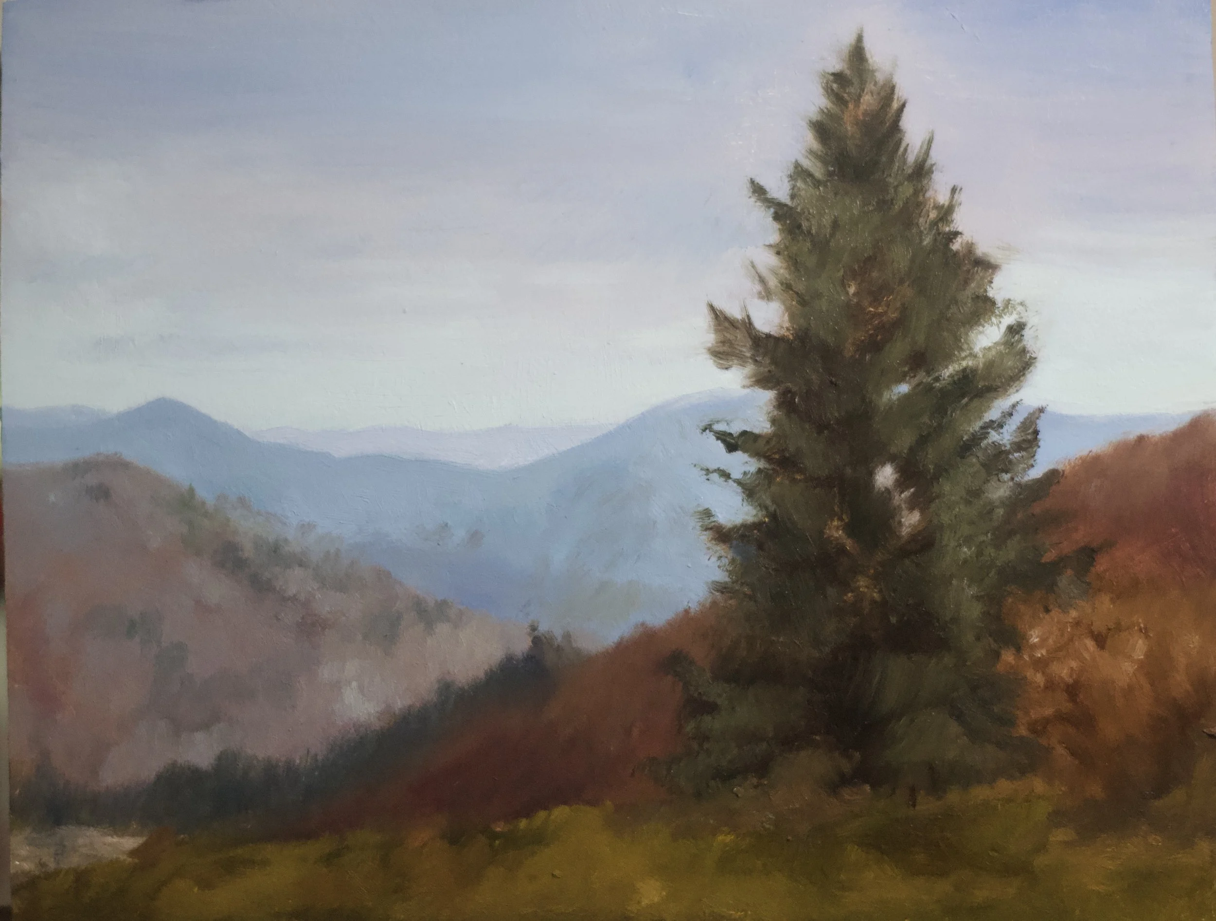 Black Balsam Plein Air