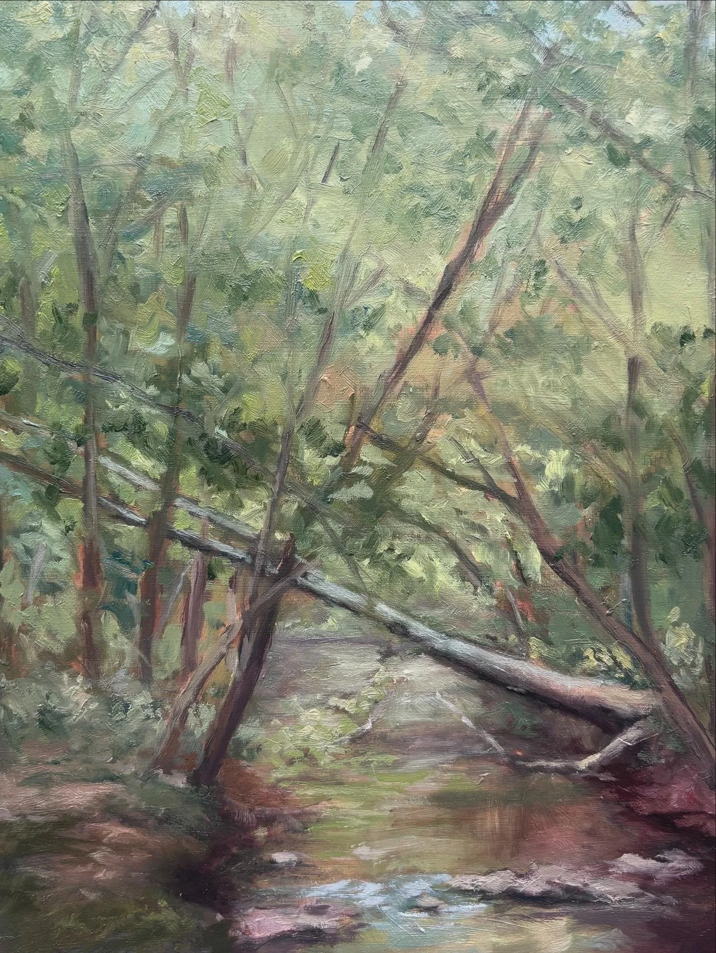 Turkey Creek Plein Air