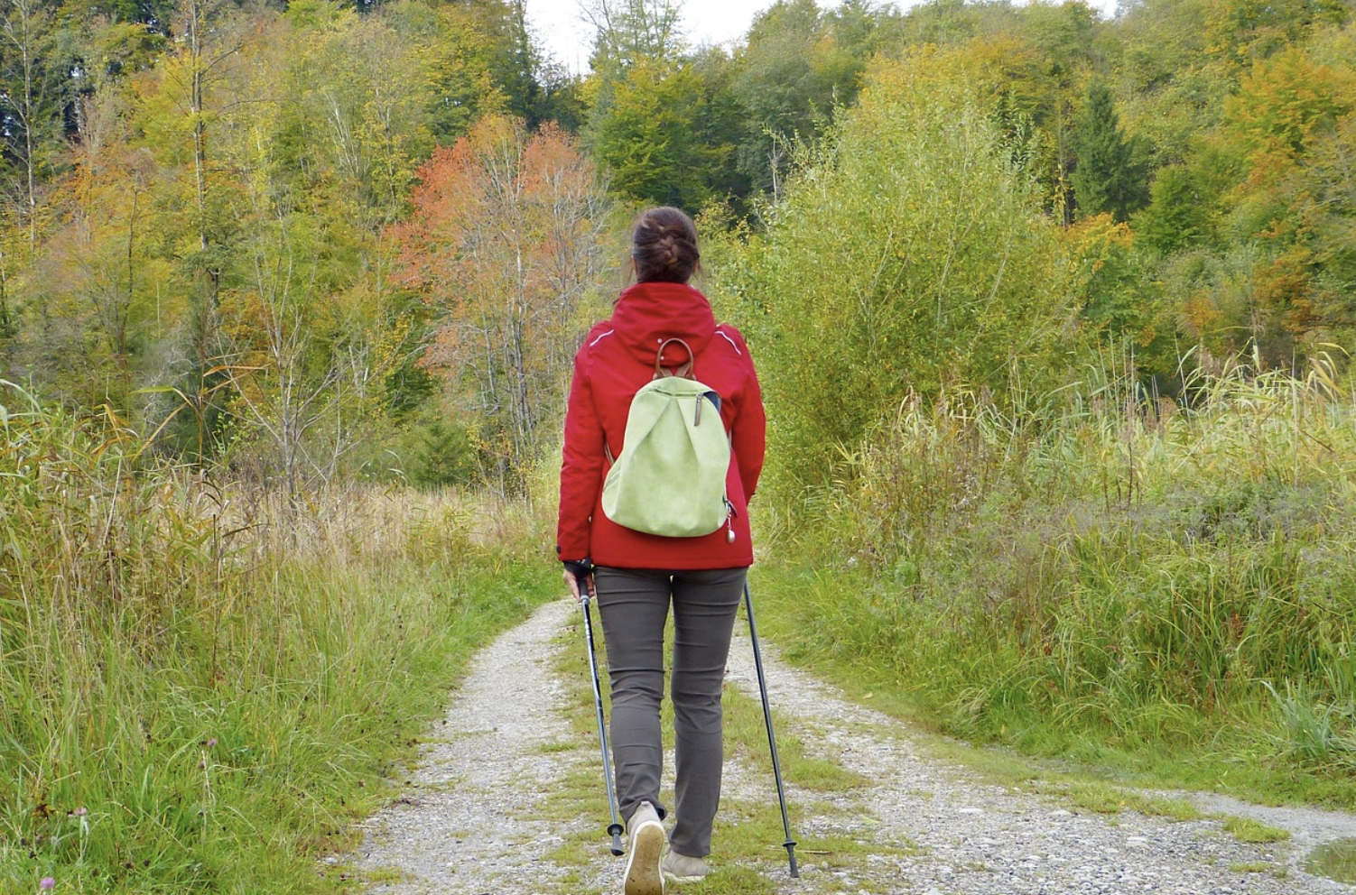 Top 5 Evidence-Based Nutrition Strategies for a Smoother Menopause Transition