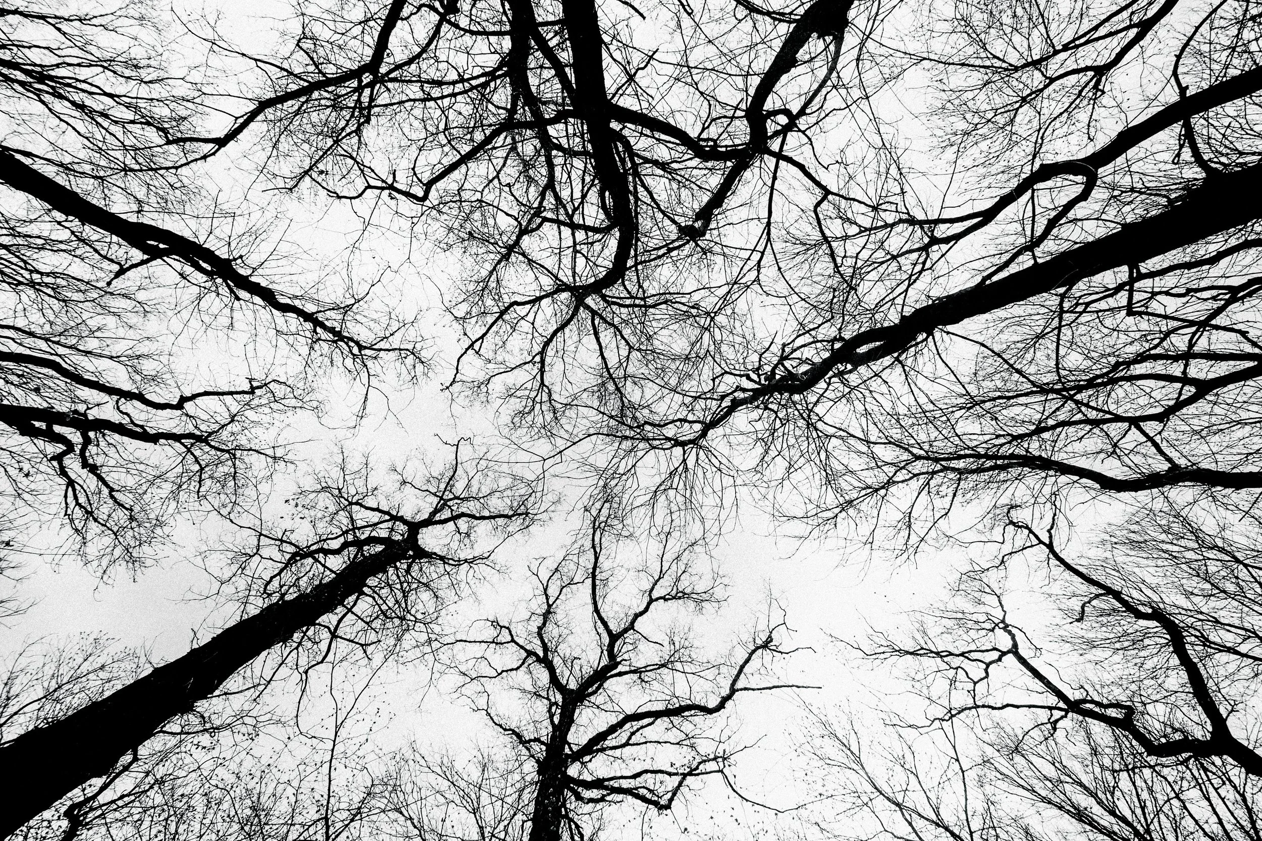 IBS, Stress, and the Nervous System: When Functional Testing Can Be Helpful