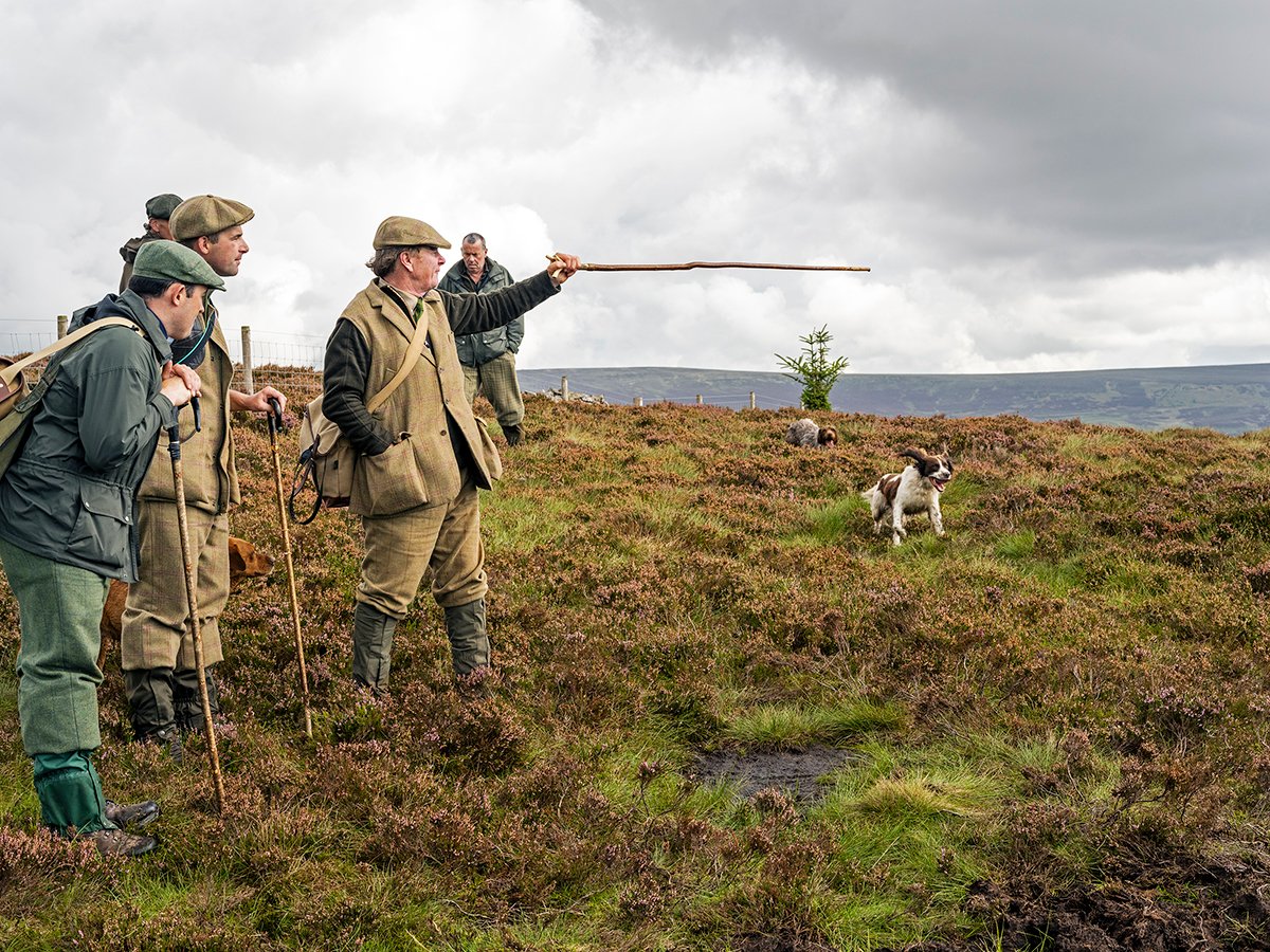 The Master of Crogiin