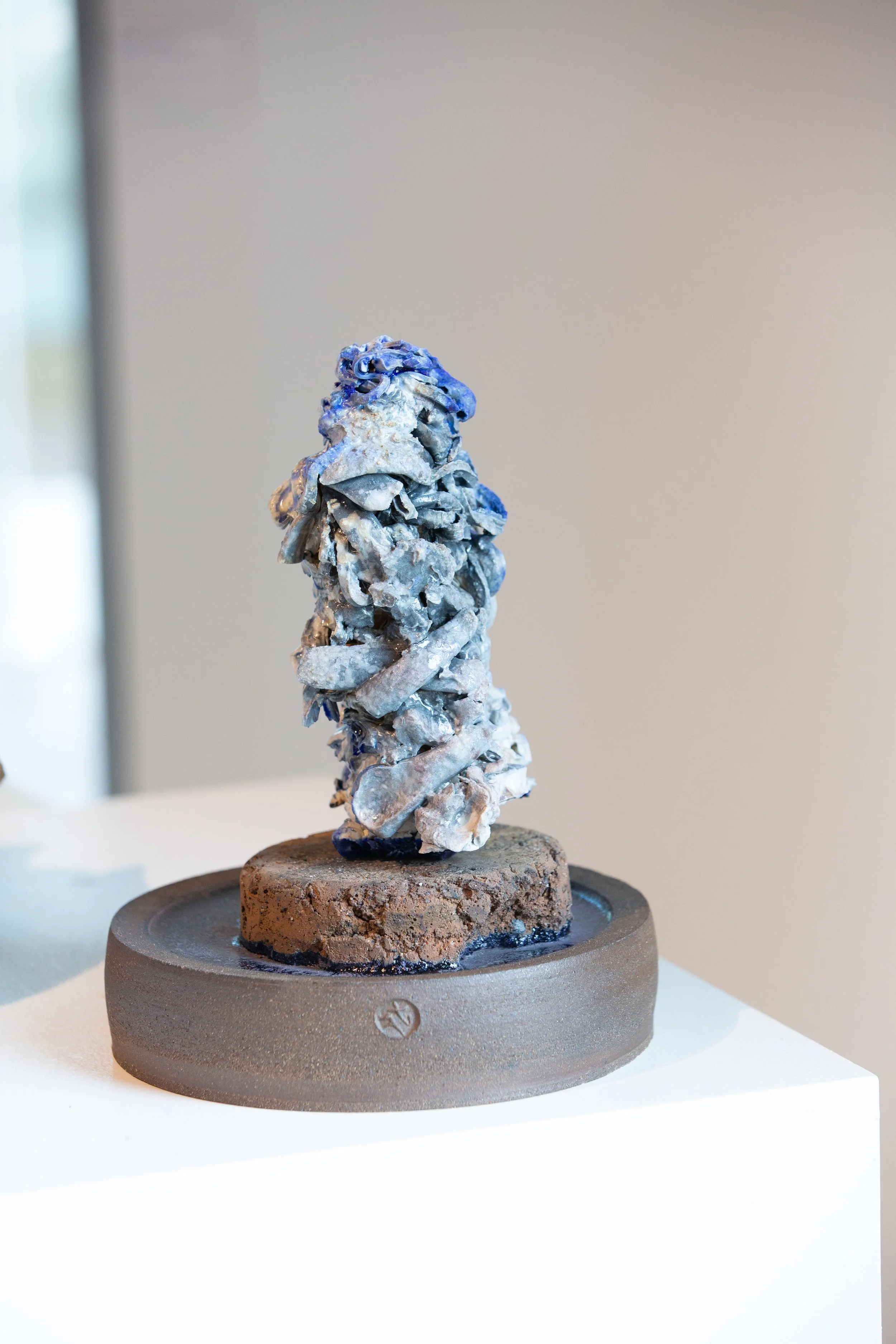 scholat blue trimmings.jpg