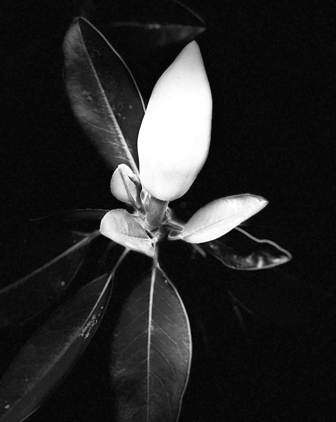 Screenshot 2026-03-08 at 10.04.23 PM.png