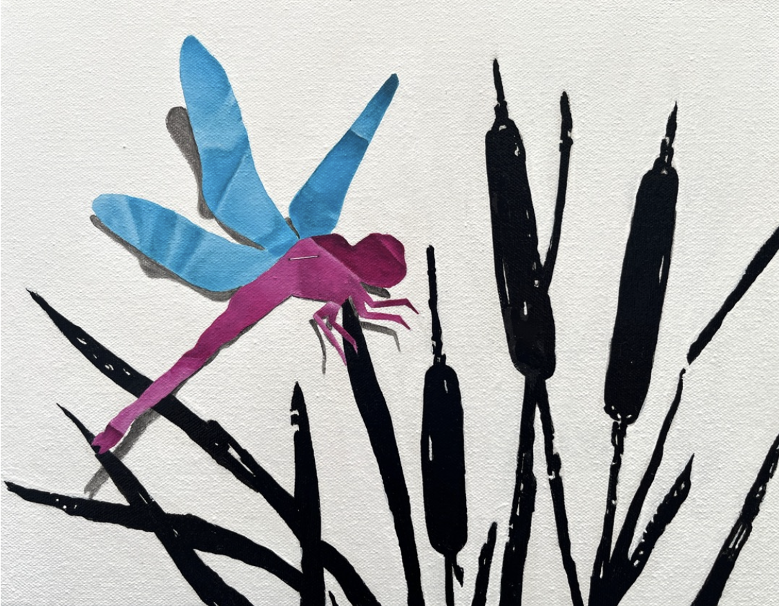 Roseate Skimmer among Cattails.png
