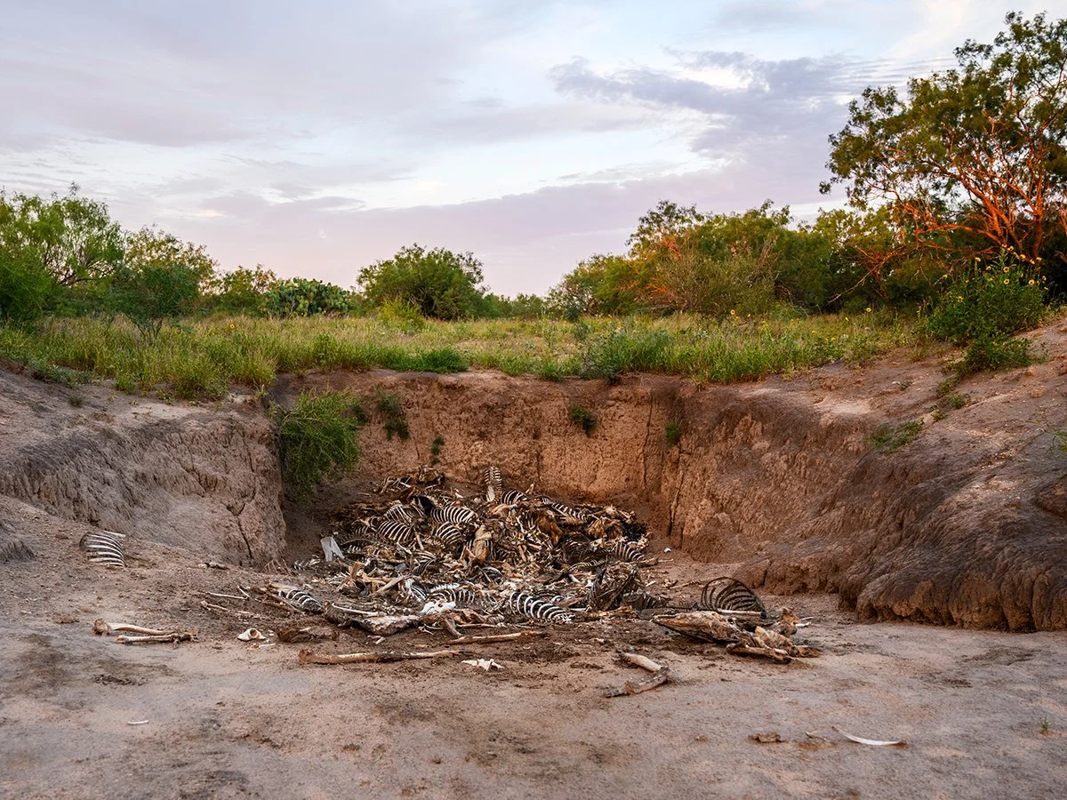 Balderas Ranch Boneyard.jpg