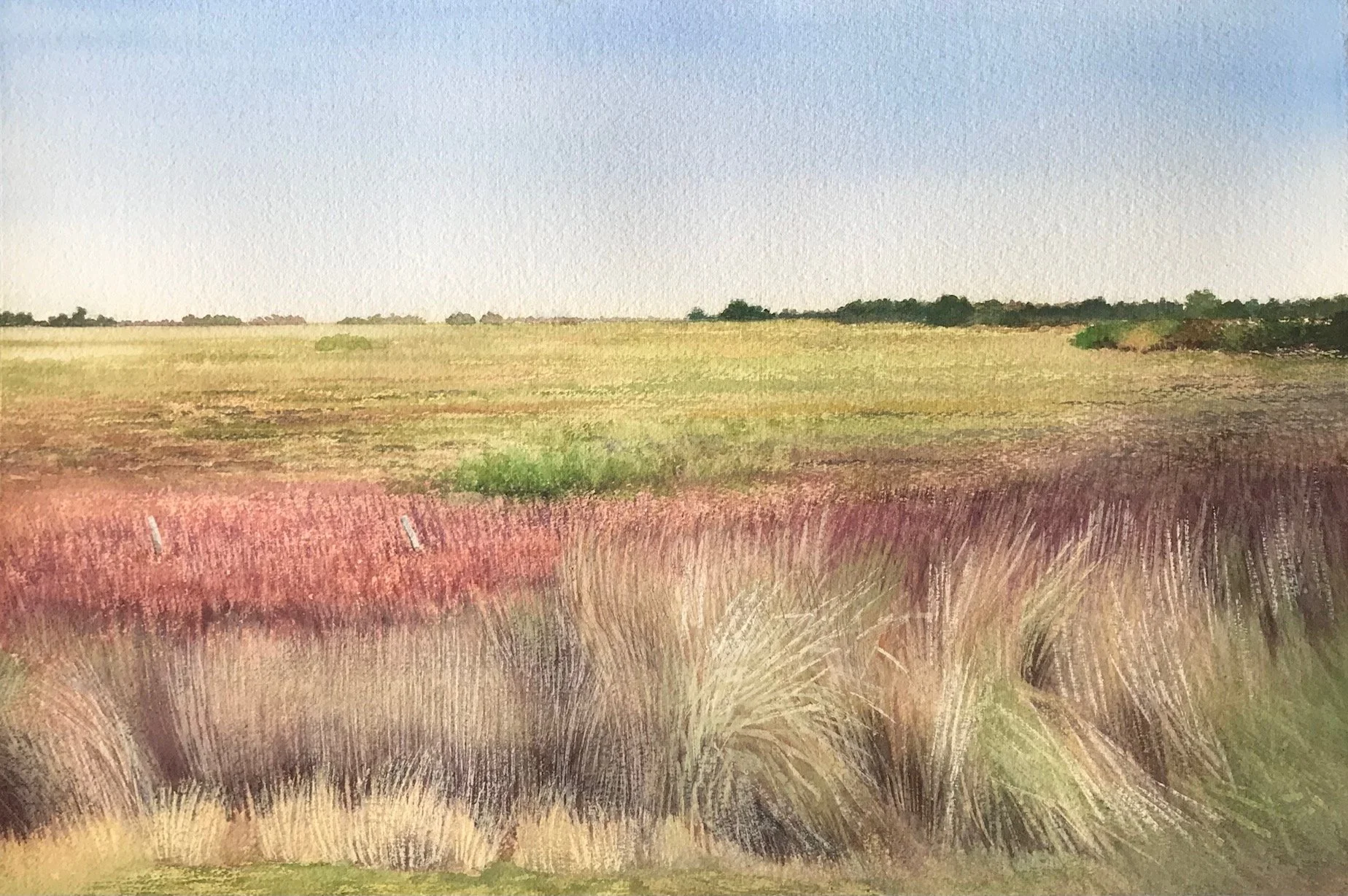 High island, Texas