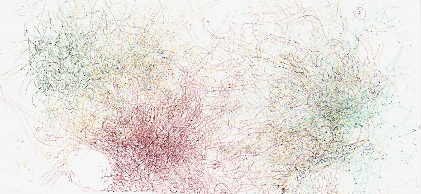 Live Oak ‘Old Noble’ Wind Drawing, 84 Hours, Late February