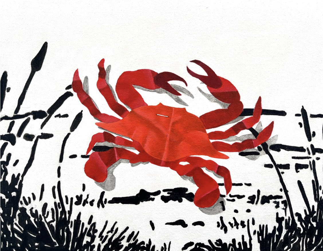 Sargassum Swimming Crab among Sea Oats.png