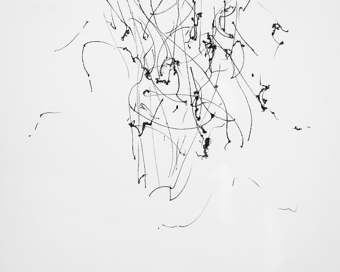 Magnolia Wind Drawing, 1:20 p.m., Dark Skies