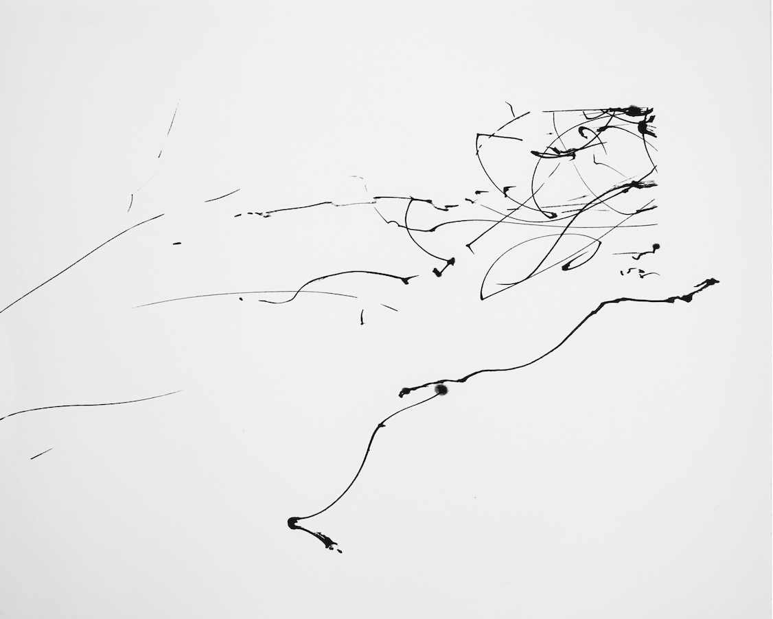 Magnolia Wind Drawing, 1:09 p.m., Wind Blown Rain