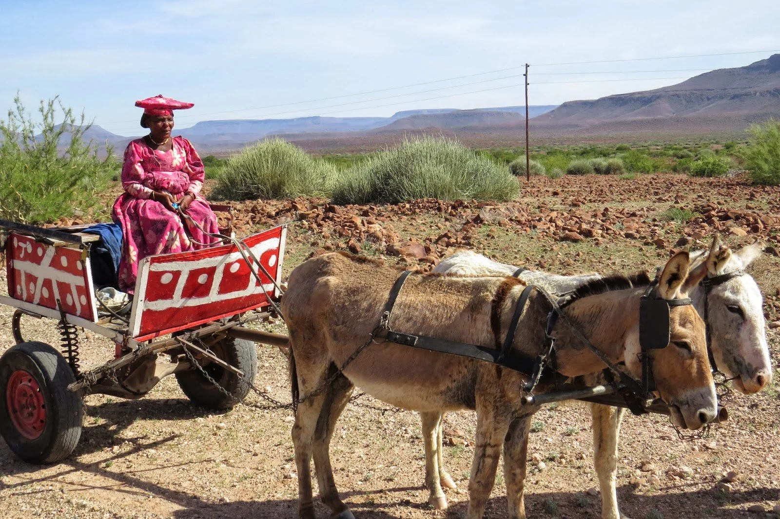 A Different Take on Race